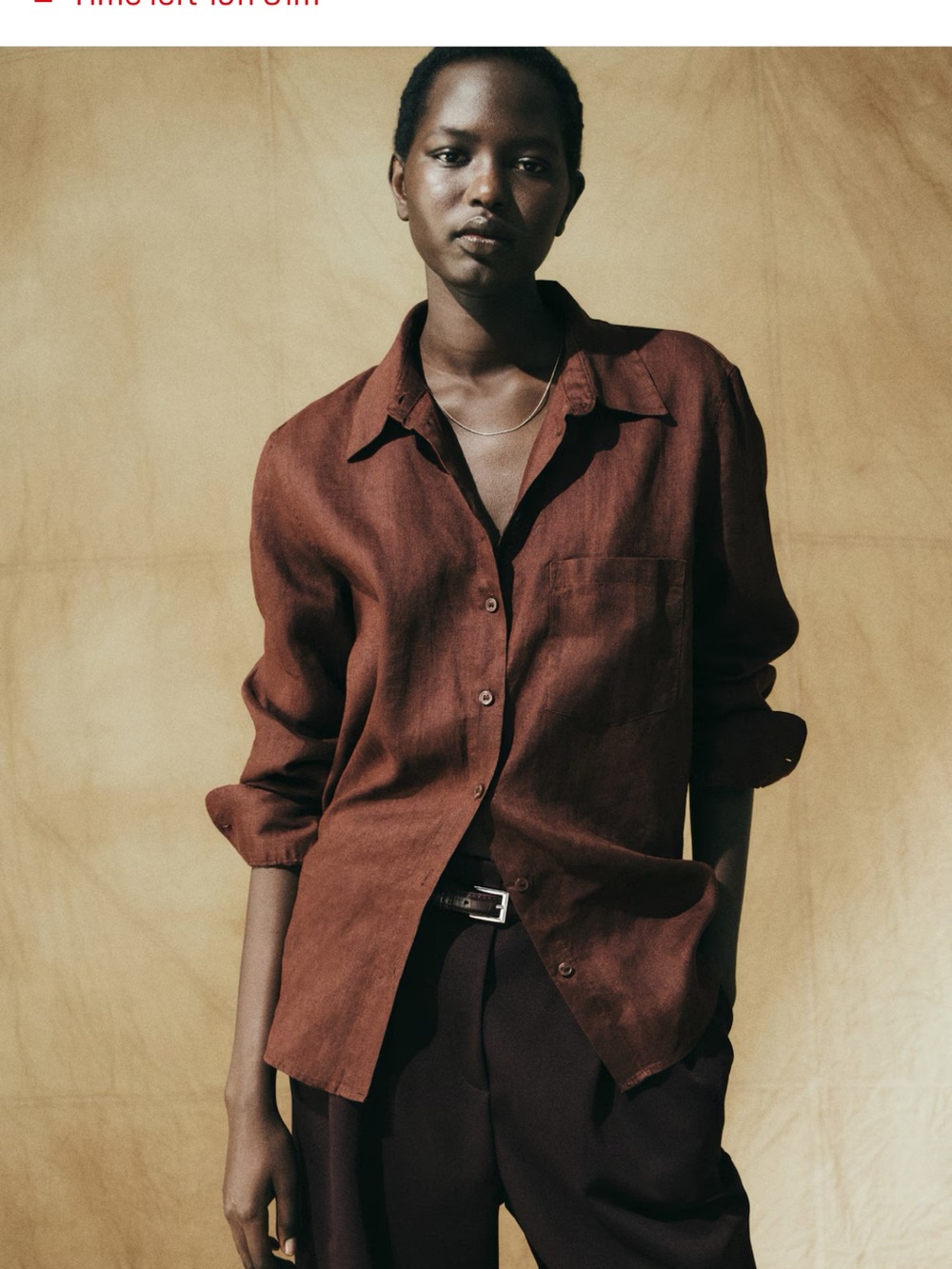 H&M Women Natural Linen Button-Up Shirt - Rust Brown